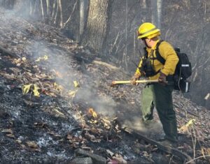 A Virginia National Guard Soldier assists the Virginia Department of Forestry with mop-up operations Nov. 16, 2023, at the Quaker Run Fire in Madison County, Virginia.