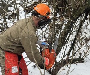 A Virginia National Guard Soldier assigned to the 1033rd Engineer Company trains on chainsaws for possible severe weather response operations Feb. 12, 2025, in Cedar Bluff, Virginia.